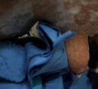 Dairy advice: The value of a CMT this spring