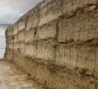 Dairy advice: Taking stock of your winter feed