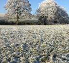 How can farmers prepare for wintry conditions?