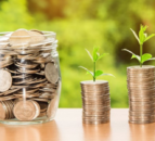 Open letter calls for basic income for agricultural workers