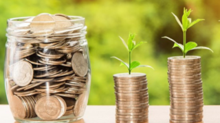 Open letter calls for basic income for agricultural workers