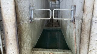 Second suspected case of foot-and-mouth disease in Germany