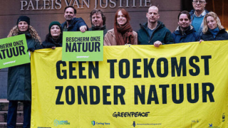 Greenpeace wins nitrogen legal case against Netherlands