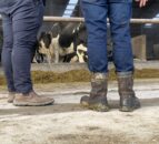UK Farm Assurance Review seeks less on-farm audits
