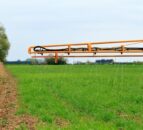 FAO: Govts should have targets to reduce nitrogen