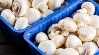 92% of horticulture and cereals exported in 2024 went to UK