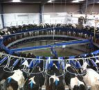 Northern Irish milk prices: A round-up for May