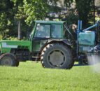 Farmers urged to destroy ‘noxious’ weeds…for the betterment of all