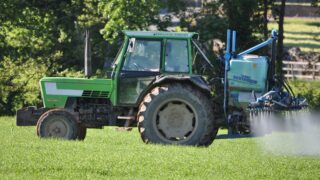 Farmers urged to destroy ‘noxious’ weeds…for the betterment of all