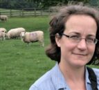 Grass event to help sheep farmers ‘play catch up’ on a late season