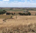 Dairy farming in a volanic valley and exporting to China: Heather reports from Australia
