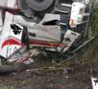 40 cattle freed from overturned lorry in Northern Ireland