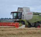 Discussions underway to find a single agri-food Brexit strategy for Northern Ireland