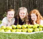 Armagh to mark the start of this year’s apple growing season with three day festival