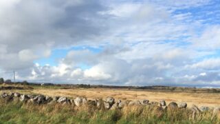 Single Farm Payments in the North drop in value in 2015