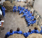 NI farmers offered beef farm study tour