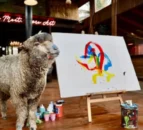 Sheep painting prodigy ‘Baanksy’ reportedly kidnapped