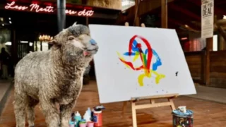 Sheep painting prodigy ‘Baanksy’ reportedly kidnapped
