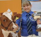 Entry date looming for Northern Ireland multi-breed calf show