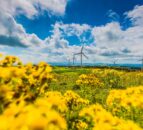 NIRIG rebrands to RenewableNI to ‘reflect group’s growing ambitions’