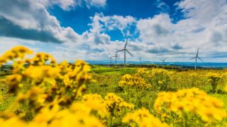 NIRIG rebrands to RenewableNI to ‘reflect group’s growing ambitions’