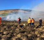 DAERA minister calls for halt to prescribed burning