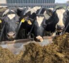 UFU celebrates top silage makers of 2018