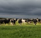 Northern food sector continues to grow, but farmers are losing out says UFU