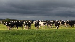 Northern food sector continues to grow, but farmers are losing out says UFU