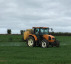 Best-practice cereal management tips – for the month of May