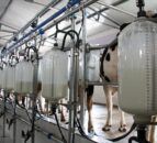 Milk price behind farming’s financial recovery