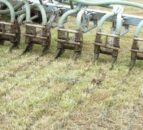 Online seminar series to examine the science behind NI’s ammonia woes