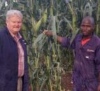 UK animal feed firm looking for rep to head up Ugandan arm