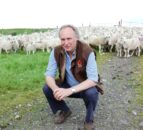 Farmer: Lamb prices to stay firm but support still needed