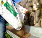 New TV show hopes to get NI farmers ‘Coortin’ In the Kitchen’