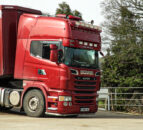 Live export recovery driven by Northern Irish demand