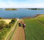 Former NFU president to lead farm profitability review