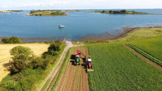 Former NFU president to lead farm profitability review