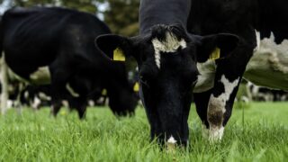 Germinal launches ‘climate smart’ grass seed products