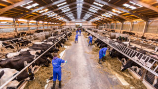 CAFRE’s Agricultural Business Operations course opens for enrolments