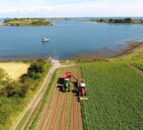NI grower launches online shop for value-added veg