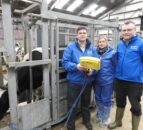 Poor heifer management could be costing your business