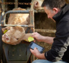 Herdwatch underlines NI presence with trip to Winter Fair