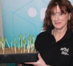 Protein Aid Scheme under review in NI – expert