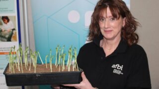 Protein Aid Scheme under review in NI – expert