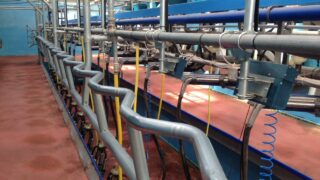 Time to play ‘hard ball’ with dairy processors as strike action looms