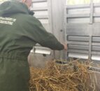 Fears mount over ‘agri budget underspend’ in Northern counties