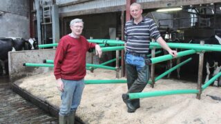 Diversification helps hedge against volatile milk prices