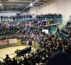 Charity livestock auctions reach just shy of £100,000 target