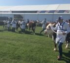 Video: Watch the first day at Balmoral Show 2017
